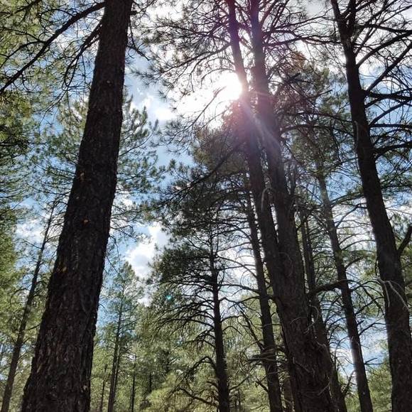 Meet your Posher, Nikki - Picture 1 of 1